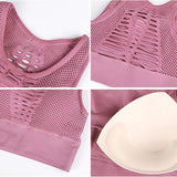 Cool Breeze Winter Sports Bra